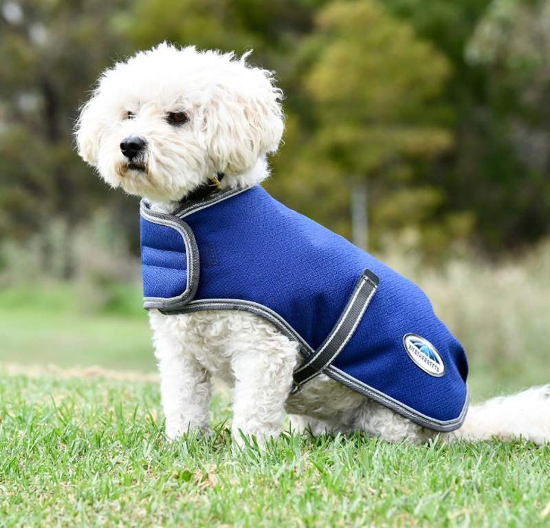 WeatherBeeta Comfitec Premier Free Parka Dog Coat Blue-1